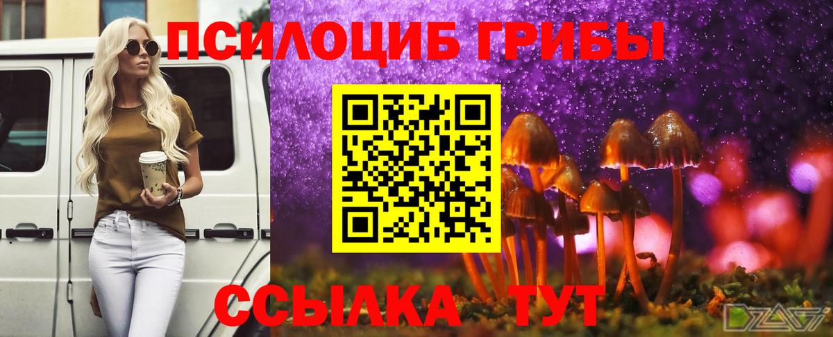 Тулун  Псилоцибиновые грибы ЛСД  Вход с VPN 