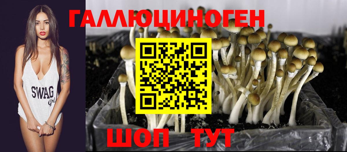 Псилоцибиновые грибы Magic Shrooms Тулун